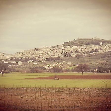 Camere Carloni Assisi Eksteriør billede